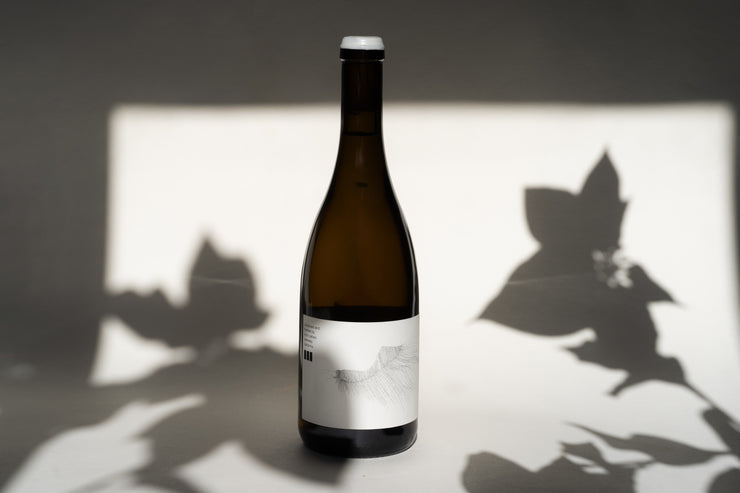 A dark green wine bottle of 2016 Michael Mara Chardonnay by Broc Cellars rests on a surface. Its white label has a minimalist line drawing, as sunlight casts leaf shadows onto the backdrop, creating a contrasting pattern around the elegant bottle from Sonoma Coast.