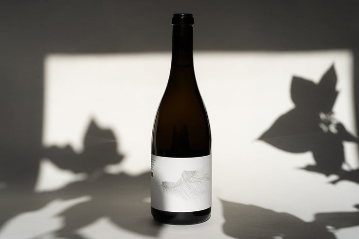 The 2014 Michael Mara Chardonnay from Broc Cellars features a minimalist white label with delicate line art. Set against a plain background, the bottle casts shadows and leaf-shaped silhouettes, capturing the essence of Sonoma Coast elegance.