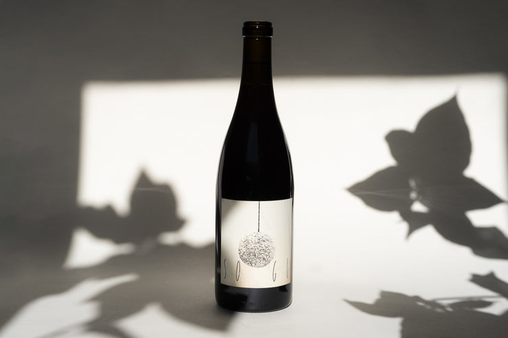 The 2018 SOGI Cabernet Pfeffer from Broc Cellars stands upright, casting a shadow on a white surface. Its label showcases a simple design with an illustrated ornament, while nearby leaf shadows enhance the scenes elegance, highlighted by soft and focused lighting.