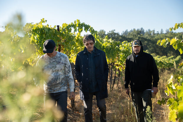 Under a clear blue sky, three people wander through a vineyard. The one in the center, channeling Egons style with sunglasses and a dark jacket, is flanked by two others wearing hats. This lush scenery hints at future bottles of Broc Cellars exquisite Notes & Tones V.2- The Album and Wine Set.