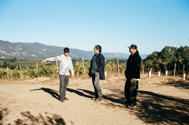 Three casually dressed people stand on a vineyard path under a blue sky. One points left towards Broc Cellars, housing the Notes & Tones V.2- The Album and Wine Set, while the others in darker clothes admire endless hills and grapevines.