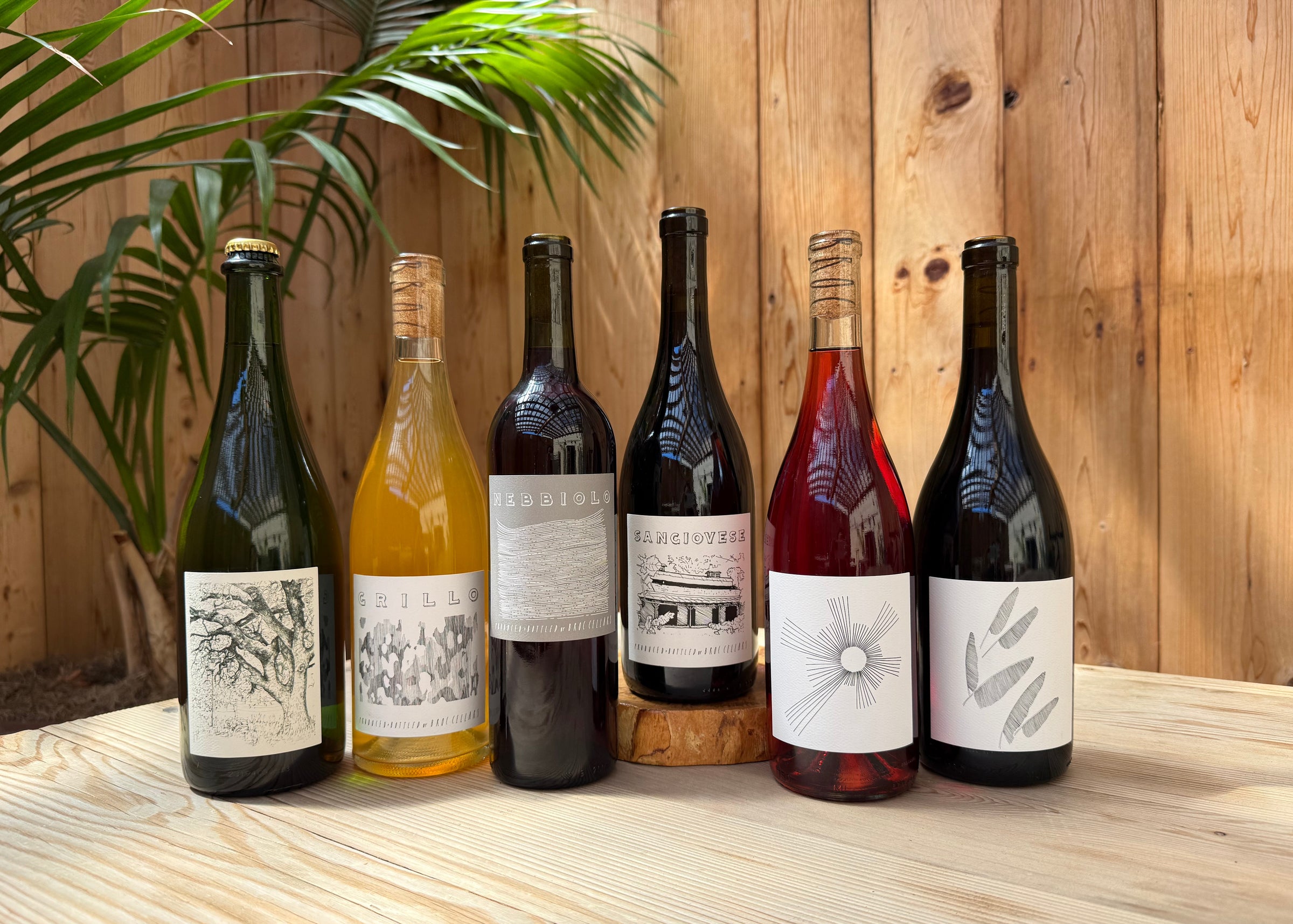 Six bottles from the 2026 FALL RELEASE- CLASSIC collection by Broc Cellars, featuring minimalist labels, are arranged on a light wooden table outdoors beside a leafy green plant and a wooden fence. The selection includes Sangiovese red, Grillo white, Nebbiolo red, and rosé wines in varying hues.