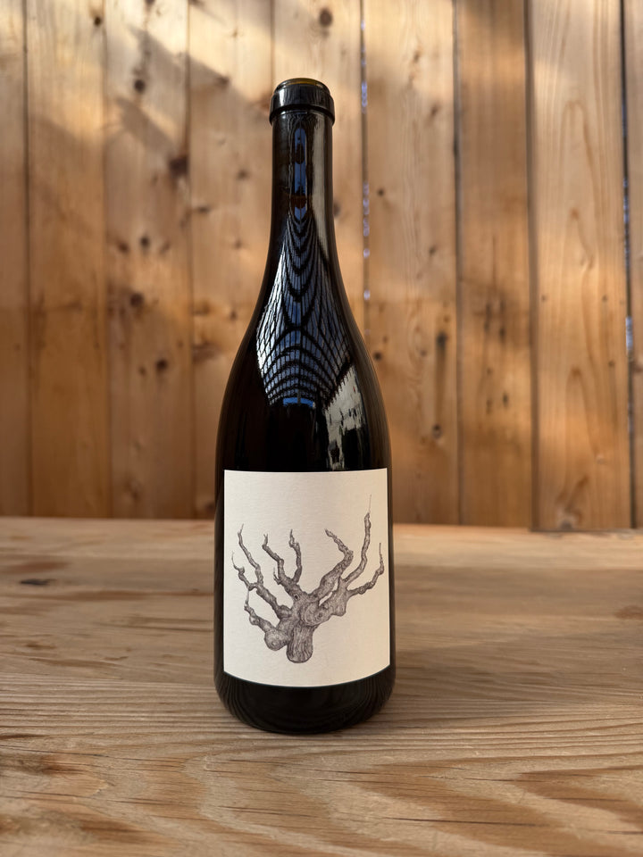 A dark glass bottle of Broc Cellars’ 2018 OLD VINE CARIGNAN, with a blank label adorned by a simple illustration of tree roots, sits on a wooden surface. The backdrop of vertical wooden planks and soft natural light subtly echoes the heritage of ancient vines that shaped this vintage.