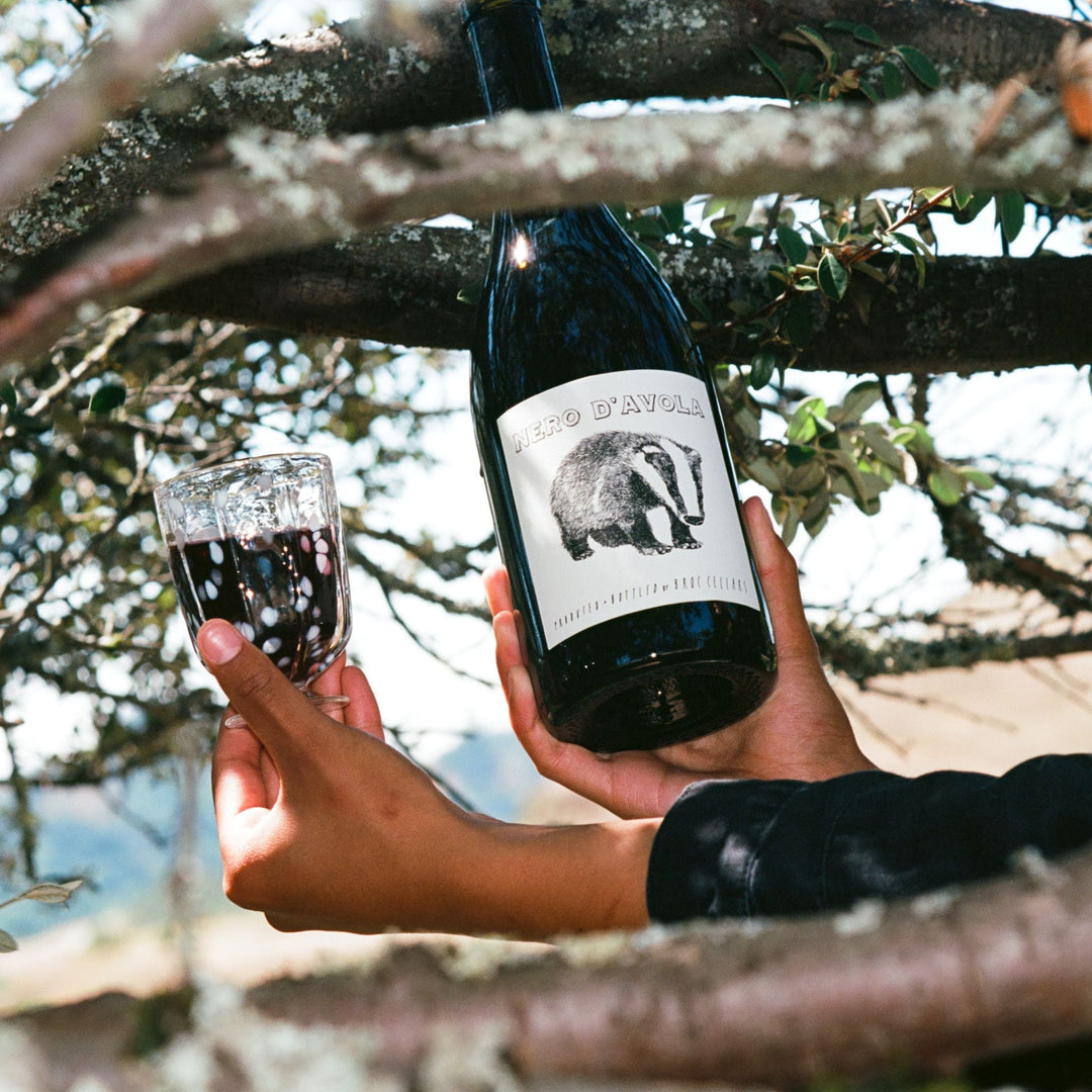A person holds a glass of red wine and a bottle of Broc Cellars 2023 Nero D&