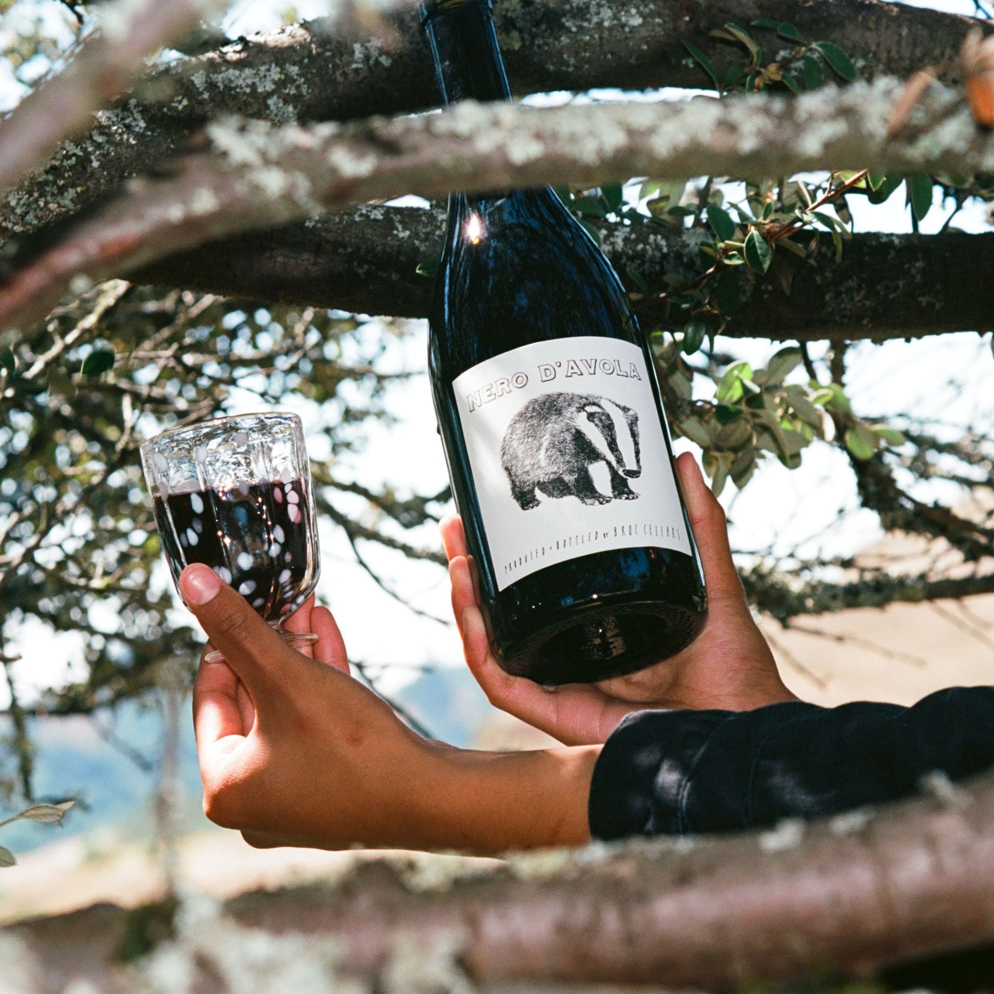 A person holds a glass of red wine and a bottle of Broc Cellars 2023 Nero D'Avola, featuring a badger illustration on the label, among tree branches with sunlight filtering through the leaves.