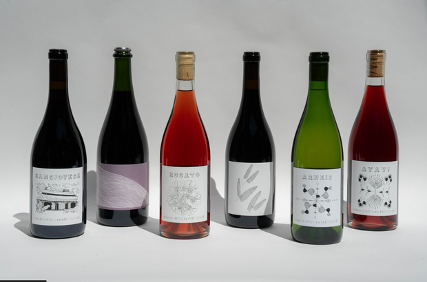 Six Broc Cellars 2025 FALL CLUB - CLASSIC wine bottles are arranged in a row on a white background, each with a unique minimalistic label design featuring architectural, abstract, floral, or botanical elements, and showcasing Arneis and Sangiovese wines.