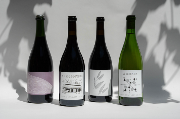 Four Broc Cellars 2025 FALL CLUB-LITE wine bottles stand in a row on a white surface, each minimalist label featuring unique black and white designs. Soft shadows of leaves fall across the background.