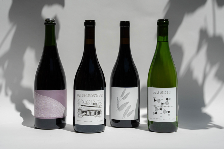 Four Broc Cellars 2025 FALL CLUB-LITE wine bottles stand in a row on a white surface, each minimalist label featuring unique black and white designs. Soft shadows of leaves fall across the background.