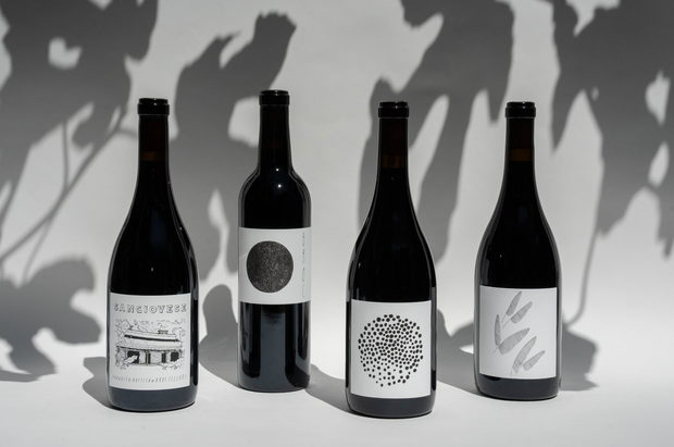 Four bottles from Broc Cellars’ 2025 FALL CLUB- LITE REDS, with minimalist black-and-white labels featuring simple graphics, stand in a row against a light background with plant shadows.