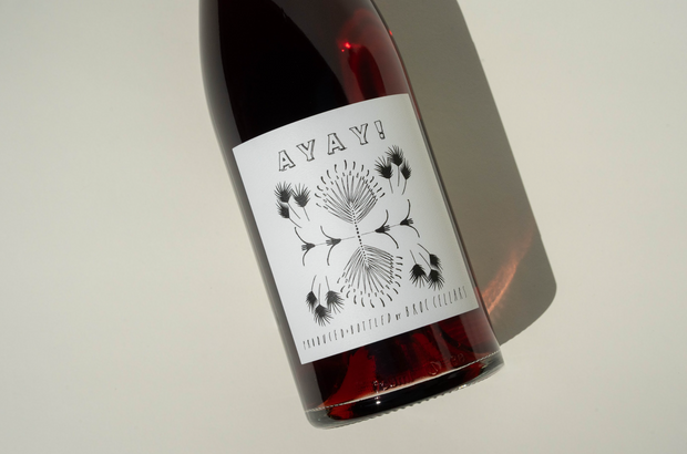 A bottle of Broc Cellars 2024 Ayay! wine with a white label featuring AYAY! in bold and a black plant design, photographed on a light background with a shadow—showcasing Trebbiano from Fox Hill Vineyard.