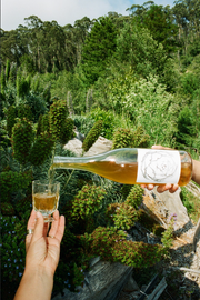 Outdoors among green foliage, a person pours a golden-colored 2023 Amore Bianco by Broc Cellars, a skin-contact Italian-style wine, from the bottle into a small glass.