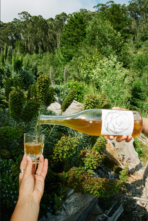 Outdoors among green foliage, a person pours a golden-colored 2023 Amore Bianco by Broc Cellars, a skin-contact Italian-style wine, from the bottle into a small glass.