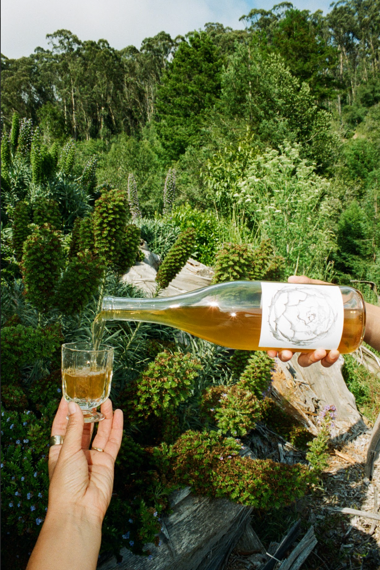 Outdoors among green foliage, a person pours a golden-colored 2023 Amore Bianco by Broc Cellars, a skin-contact Italian-style wine, from the bottle into a small glass.