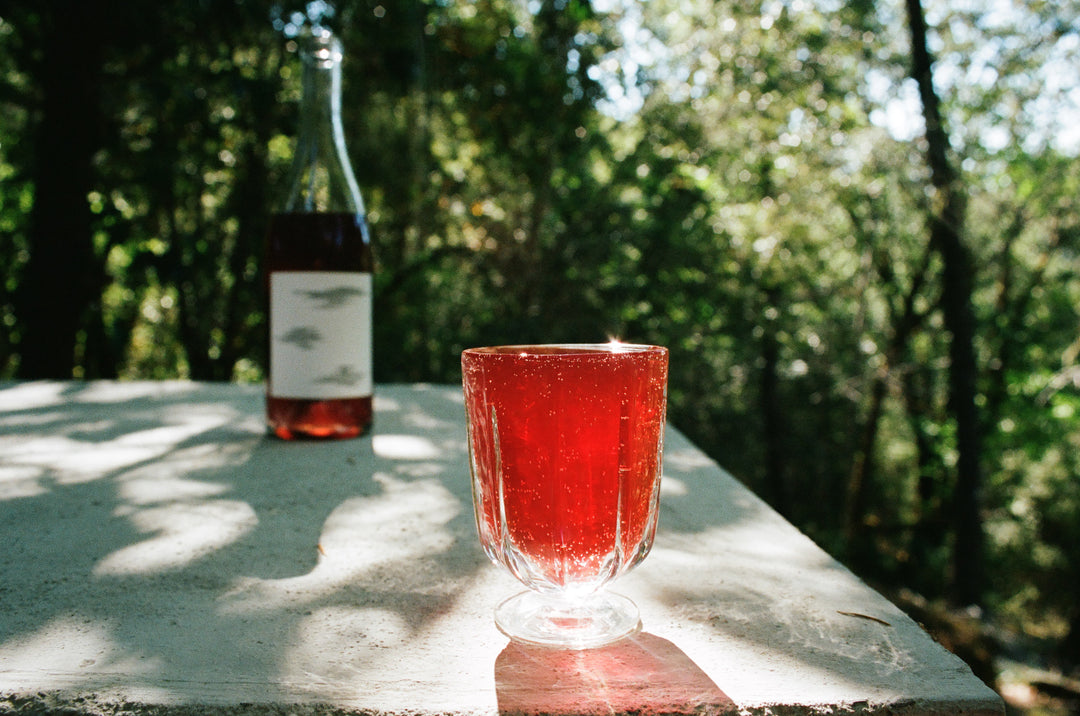 A Broc Glass filled with red wine rests on a white surface outdoors in sunlight, surrounded by a forest. The Broc Cellars bottle is blurred in the backdrop, with dappled light casting shadow patterns around the scene.