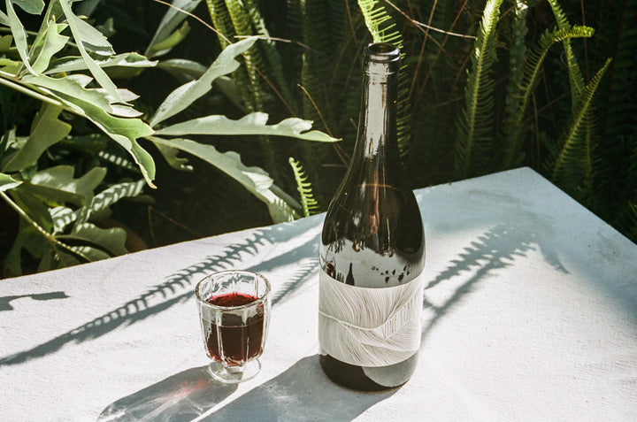 The 2022 Vine Starr Zinfandel from Broc Cellars, with its textured white label, sits on a sunlit surface beside a glass of red wine. Green foliage in the background casts soft shadows, embodying the rich tradition of Sonoma Vineyards.
