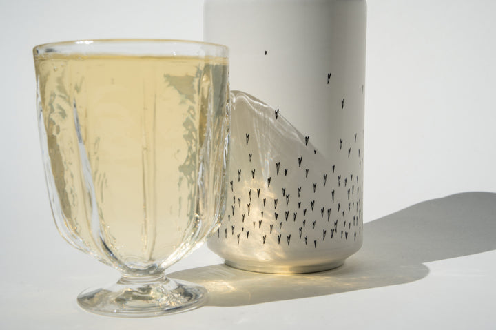 A clear glass of pale yellow Love Sparkling wine from Broc Cellars stands before a white Love Sparkling Can Pack adorned with small black fly illustrations, both casting shadows on the white surface.