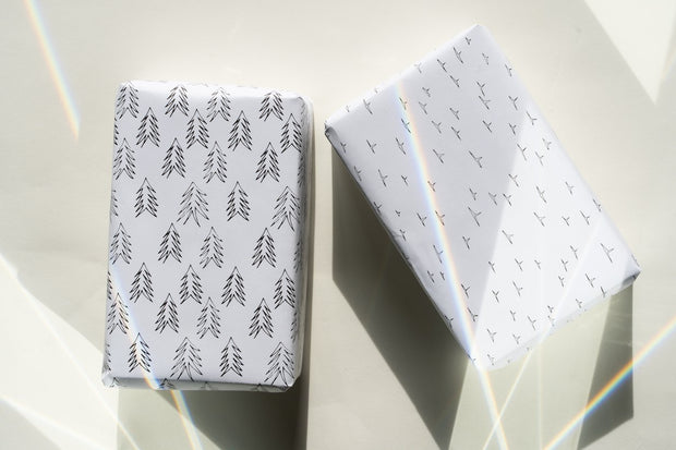 Wrapping Paper | Conifer