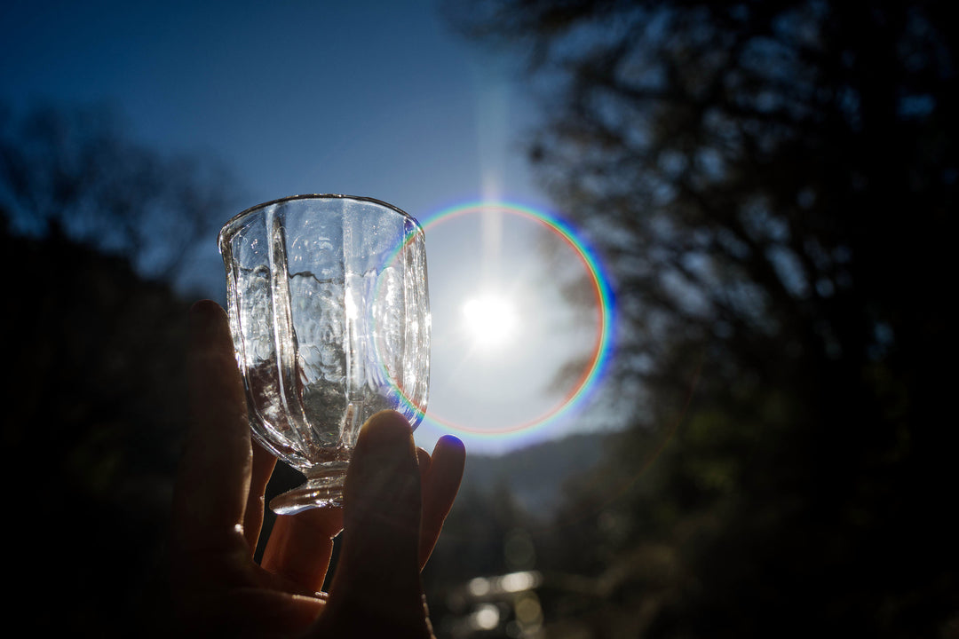 A hand effortlessly lifts Broc Glass by Broc Cellars toward the sky, where the suns rays create a lens flare and rainbow halo through the exquisite handblown piece, silhouetting bare trees against a serene blue backdrop.