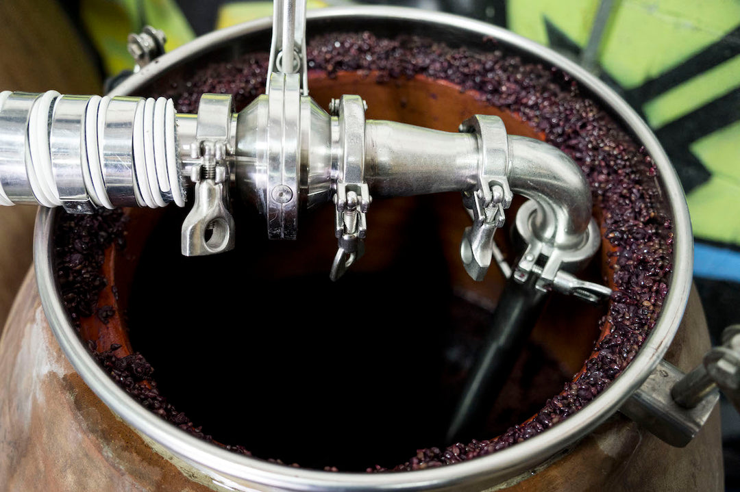 A metal pipe with clamps is inserted into the top opening of a fermentation tank containing a layer of 2023 Nero dAvola grapes from Broc Cellars, likely at Fox Hill Vineyard in Mendocino, using stainless steel fittings for winemaking.
