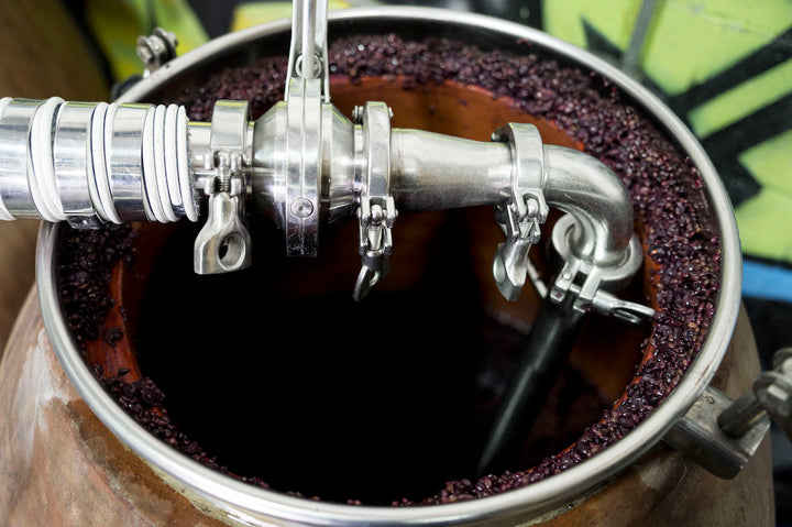 A metal pipe with clamps is inserted into the top opening of a fermentation tank containing a layer of 2023 Nero dAvola grapes from Broc Cellars, likely at Fox Hill Vineyard in Mendocino, using stainless steel fittings for winemaking.