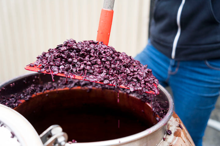 At Fox Hill Vineyard, a person in a black sweatshirt and blue jeans uses a red shovel to scoop crushed purple grapes over a large metal container while making the acclaimed 2023 Nero DAvola by Broc Cellars. In the background, theres a corrugated metal wall.